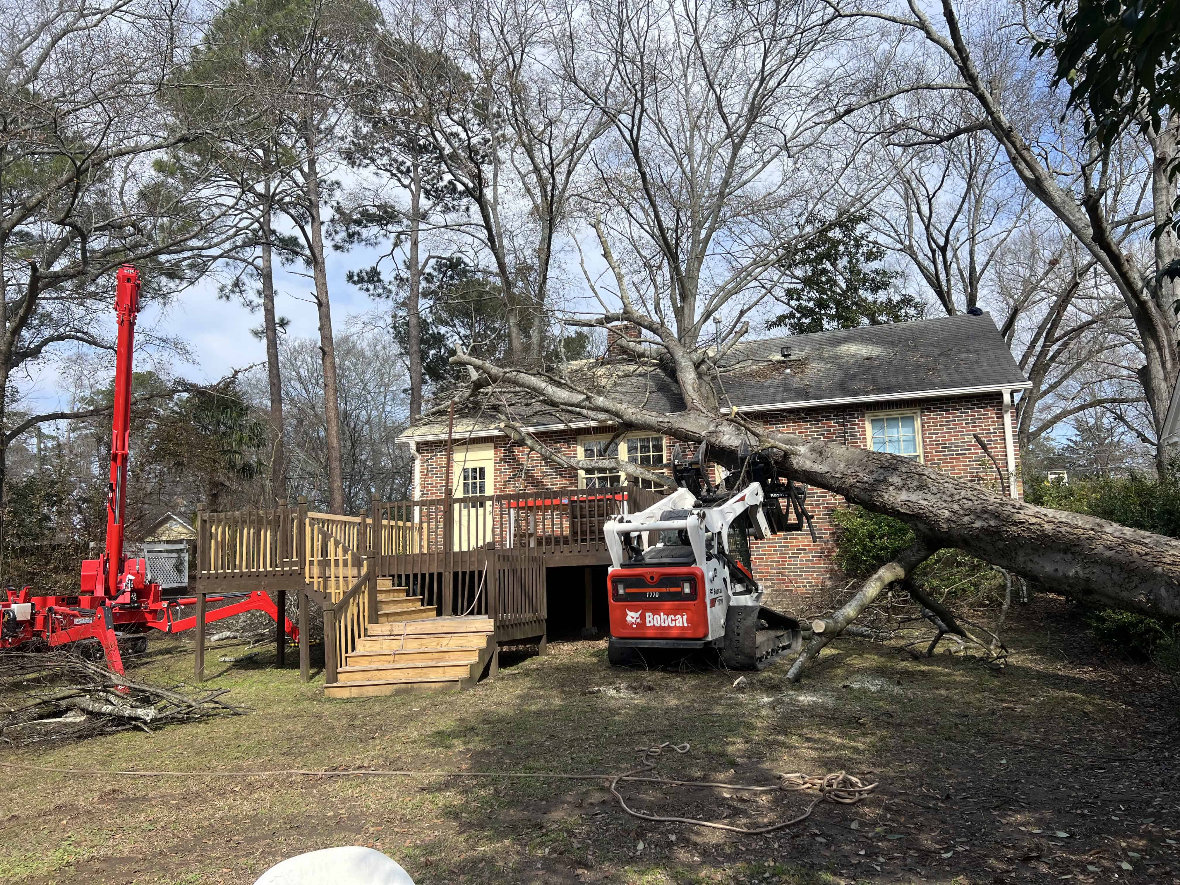 Fallen tree removal by Clear Waters Tree Service with Bobcat equipment in a residential yard.